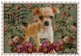 images/productimages/small/Postzegel chihuahua article27934946.jpg